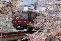 202304Photo 桜と阪急電車